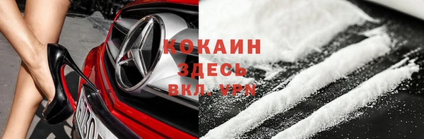 ECSTASY Горняк