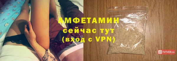 ECSTASY Горняк