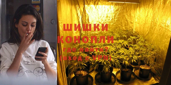 ECSTASY Горняк