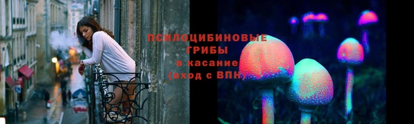 ECSTASY Горняк