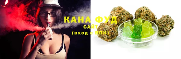 ECSTASY Горняк