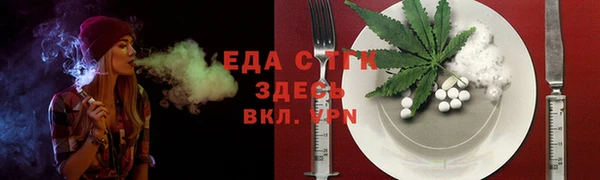 ECSTASY Горняк