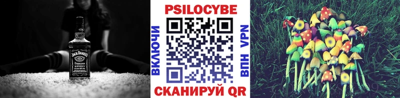 Галлюциногенные грибы Psilocybe  Очёр 